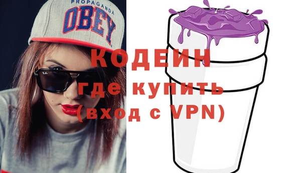 молекула духа Богородицк
