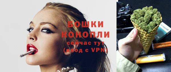 молекула духа Богородицк