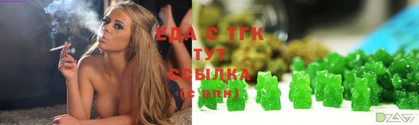 молекула духа Богородицк