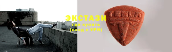 молекула духа Богородицк