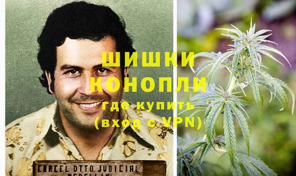 амф Богородск