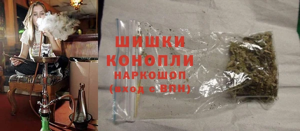 молекула духа Богородицк
